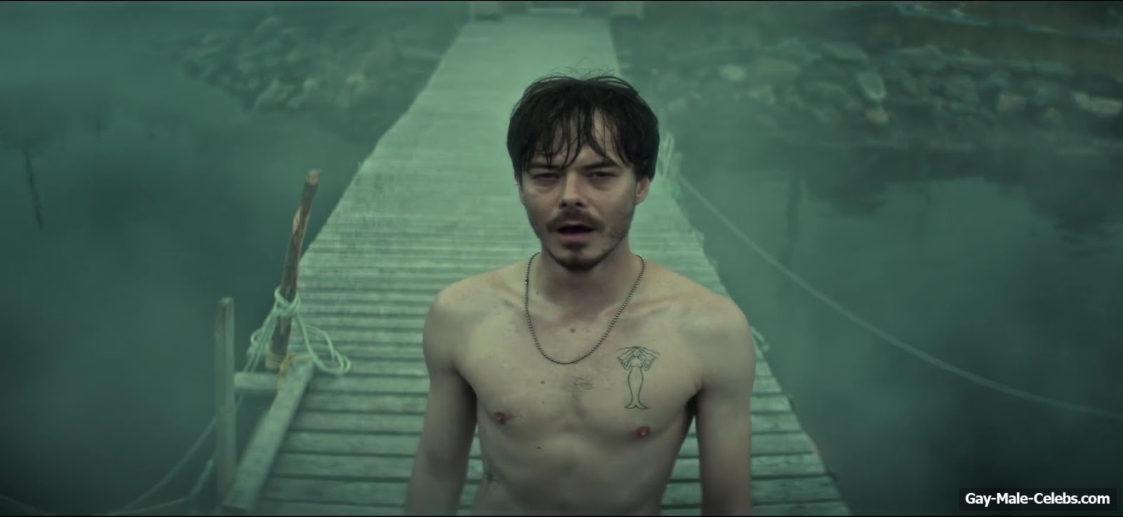Charlie Heaton Nude And Erotic Scenes in Below