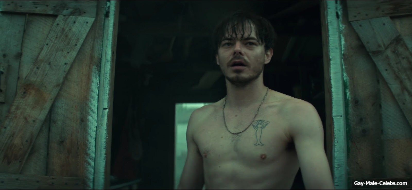 Charlie Heaton Nude And Erotic Scenes in Below