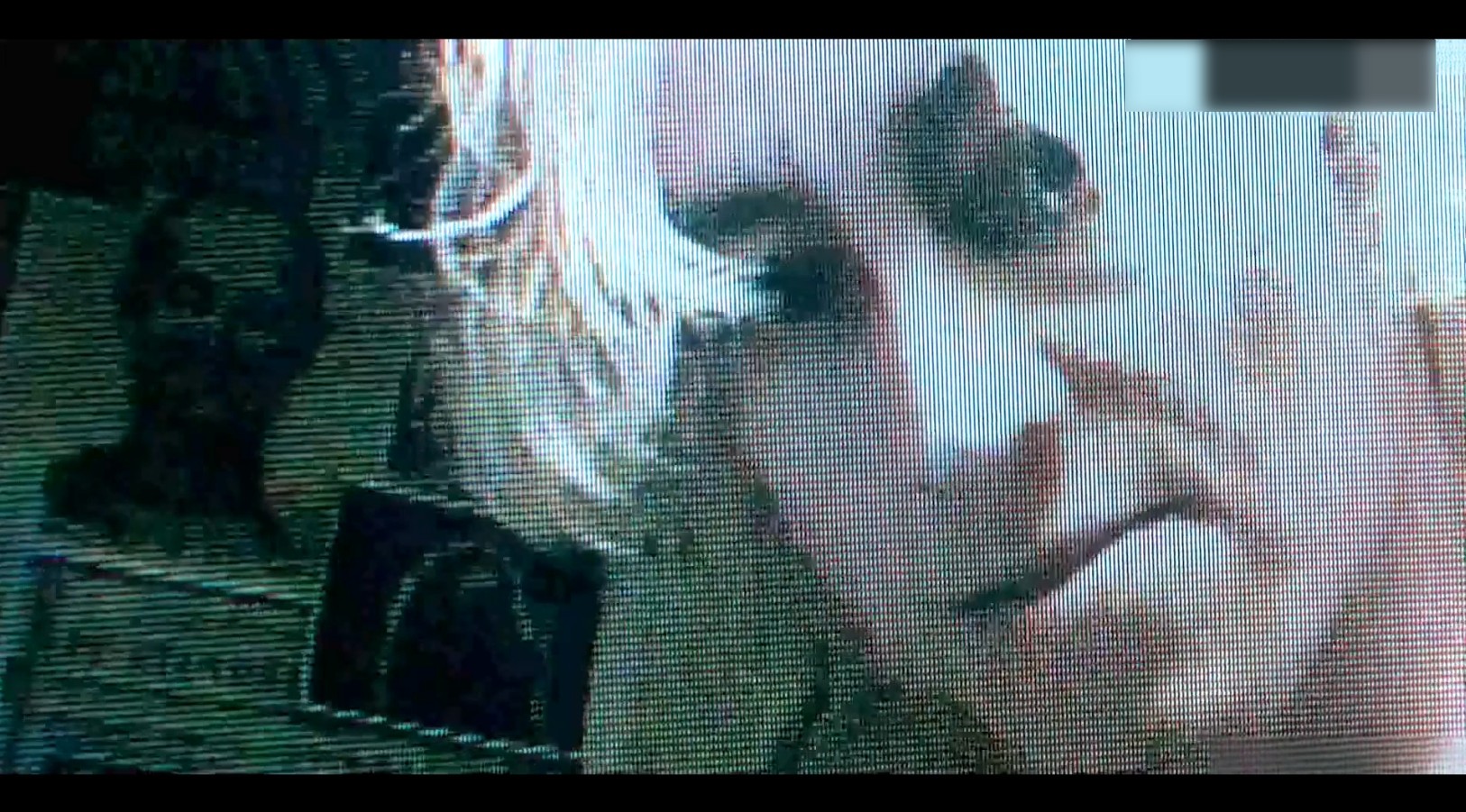 Hoze Melendez Nude and Jerk Off Scenes in Psychopath The White Rabbit Killer