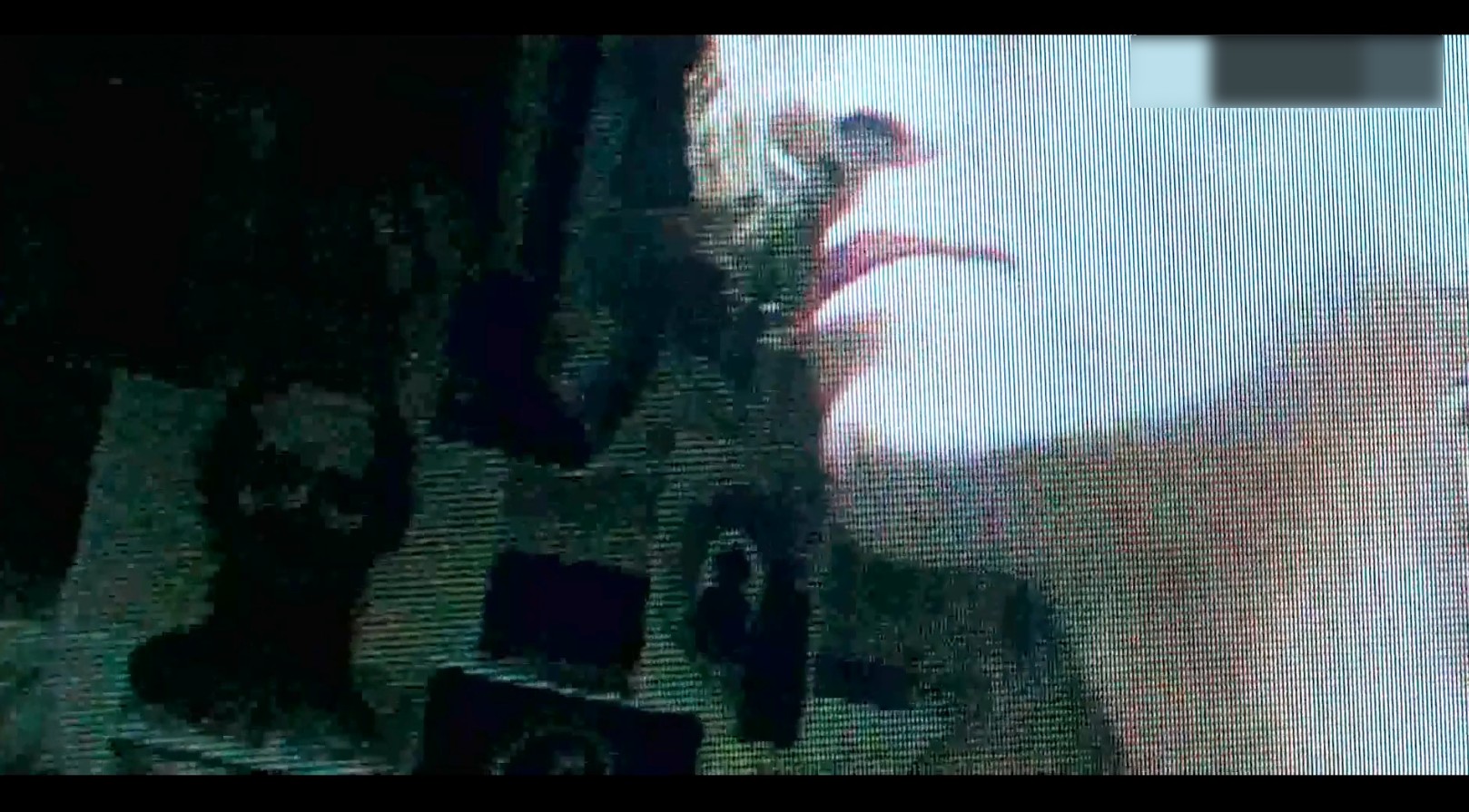 Hoze Melendez Nude and Jerk Off Scenes in Psychopath The White Rabbit Killer