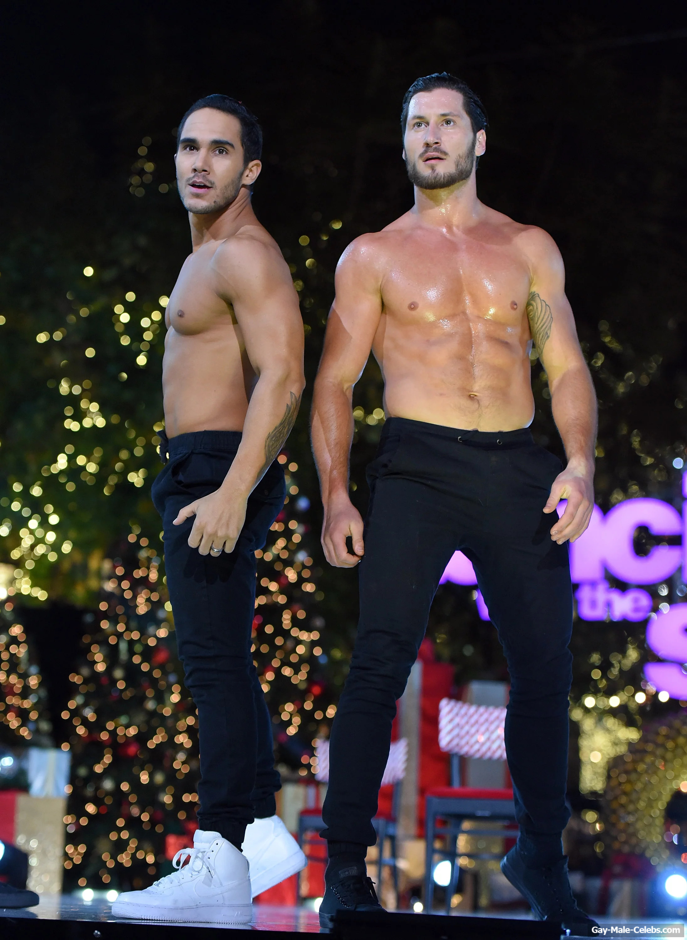 Val Chmerkovskiy Nude And Underwear Photos
